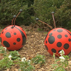 Ladybug Bowling Ball