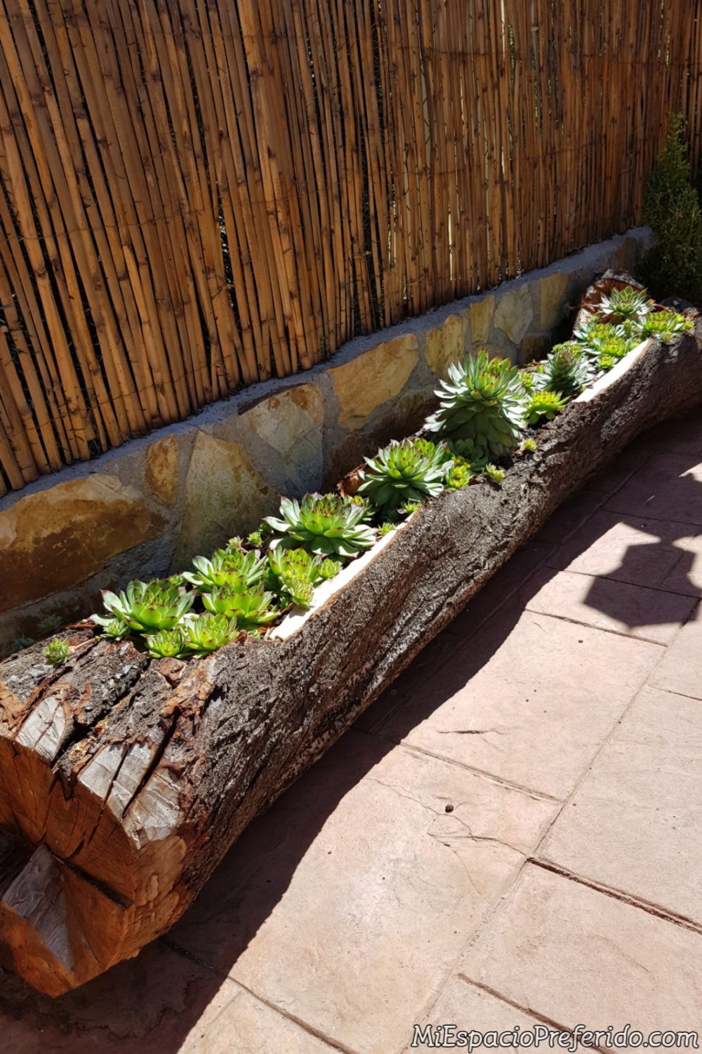 Turn a log into a planter