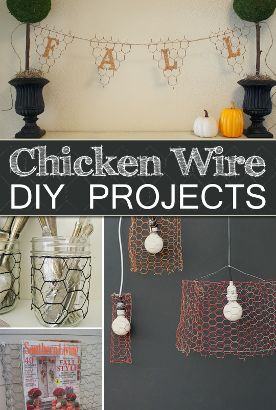 Framed Chicken Wire Photo Holder, Projects