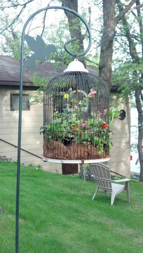 Plant flowers in a birdcage