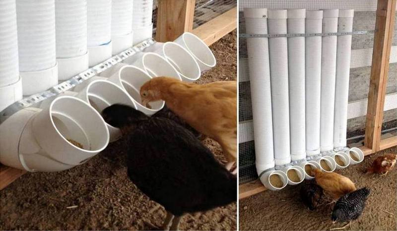 Build your own chicken feeders out of PVC pipe