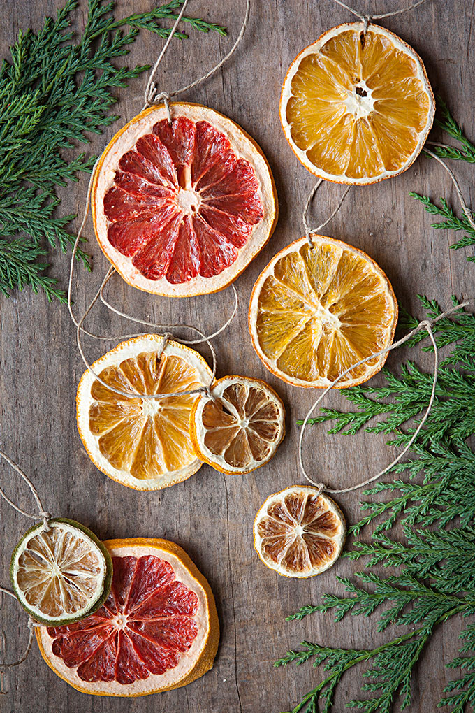 Citrus Wheel Ornaments