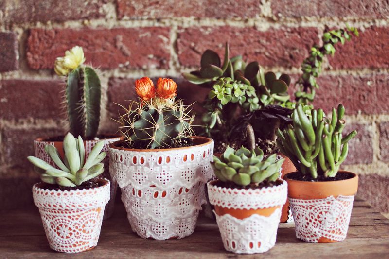 Cover Pots with Lace