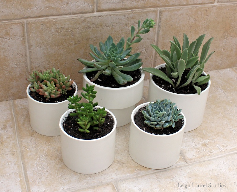 Make Planters for Succulents out of PVC