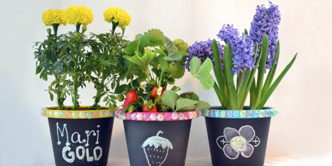 Make Your Own Chalkboard Flowerpots