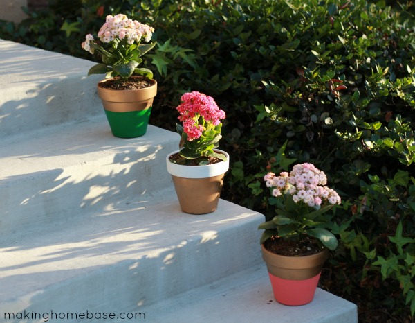 Paint flower pots