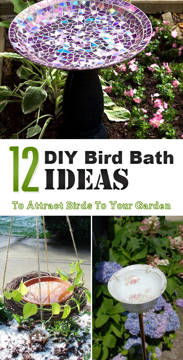 DIY Hanging Birdbath - Birds and Blooms