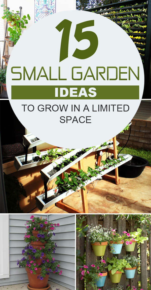 15 Small Garden Ideas to Grow in a limited Space #gardening