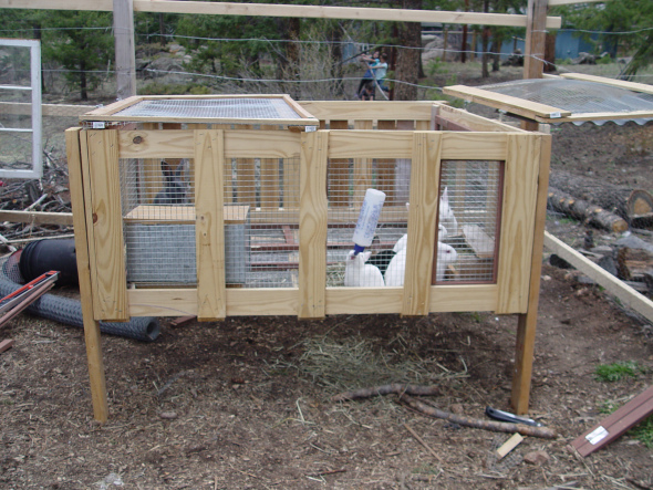 Build a rabbit hutch with pallets