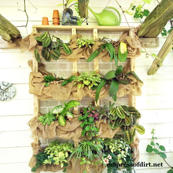 Hang Up Your Plants! Easy 2x4 Plant Shelf