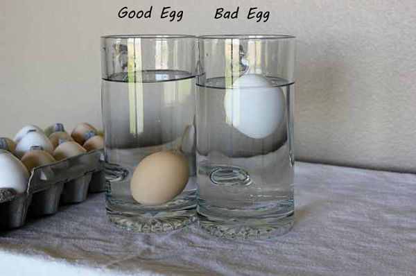 To tell if eggs are fresh, immerse them in a bowl of water