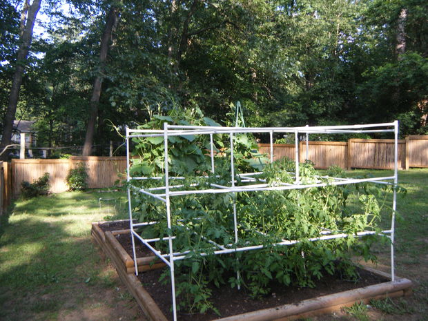 PVC Tomato Cages