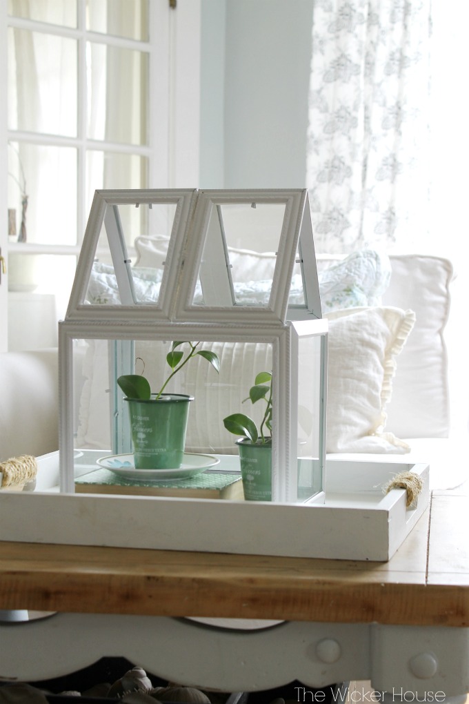 Picture Frame Greenhouse Terrarium