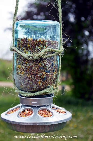 bird feeder