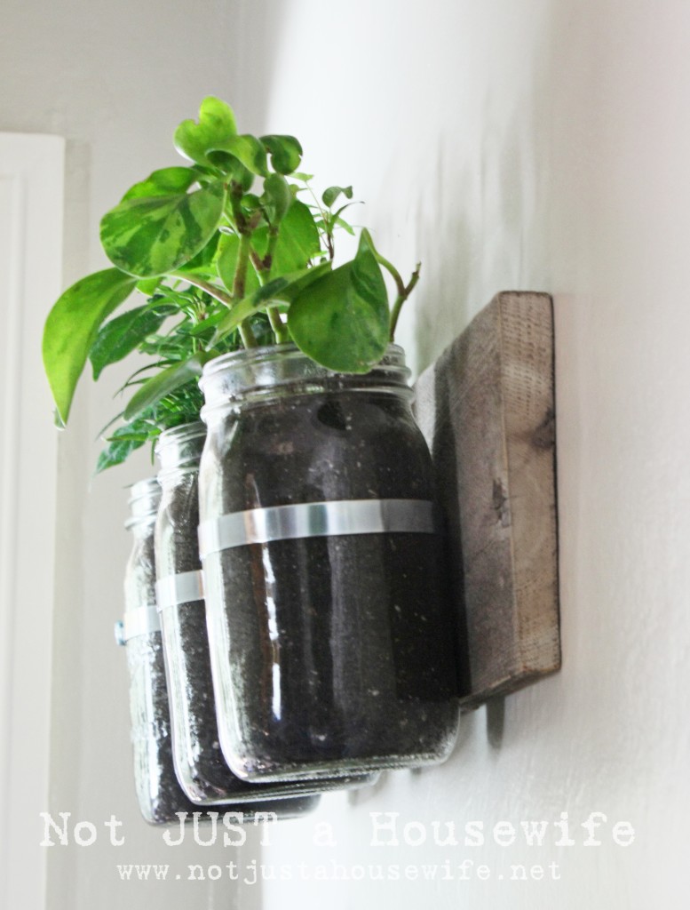 mason jar wall planter