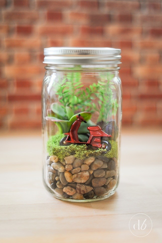 Mason Jar Terrarium