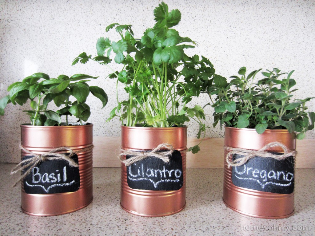 From Tin Cans to Planters