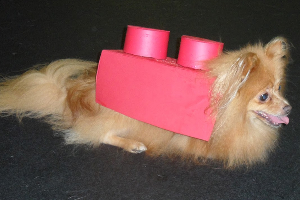 Lego Dog Costume