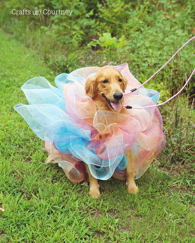 Loofah Dog Costume