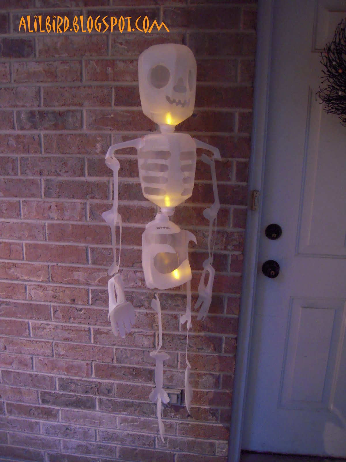 Milk Jug Skeleton