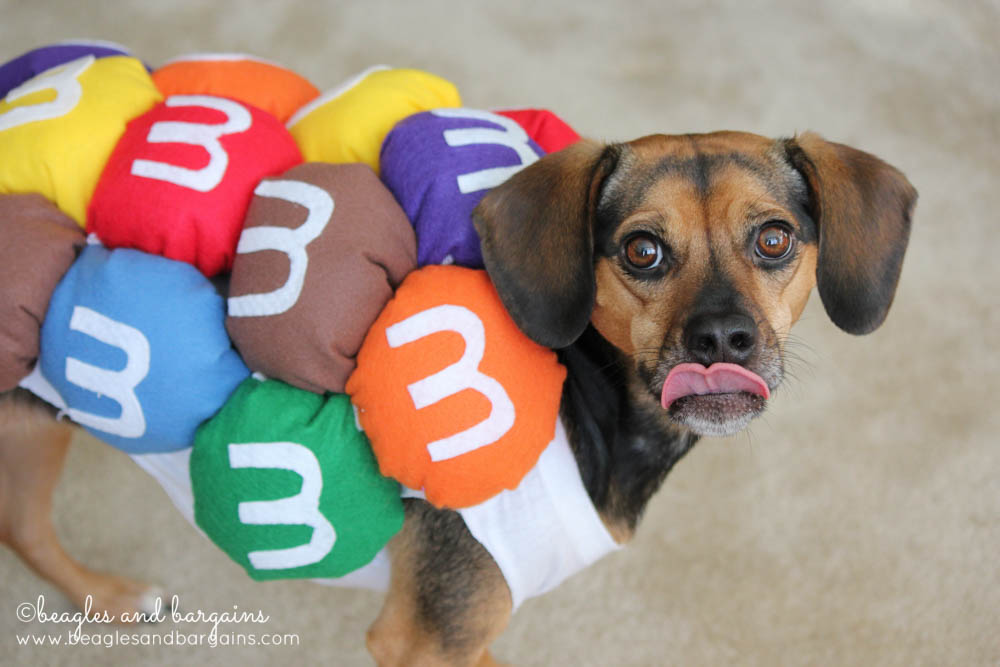 Mini M&Ms Halloween Costume