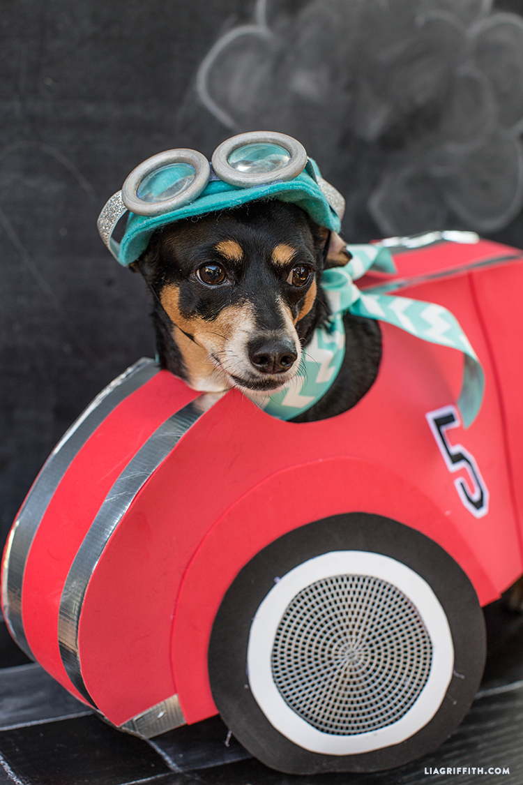 Race Car Dog Costume