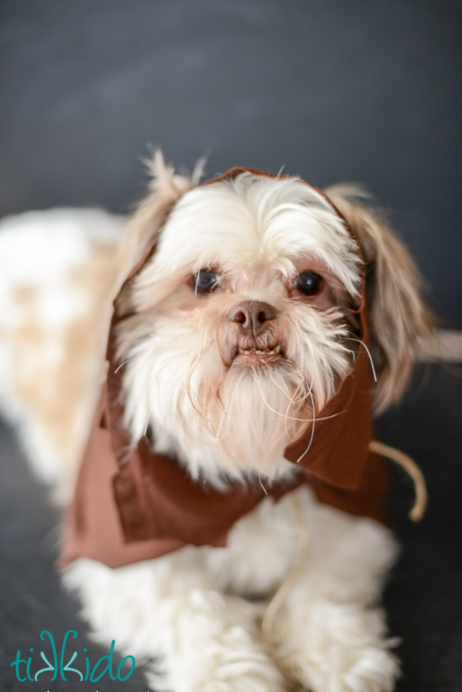 Star Wars Ewok costume