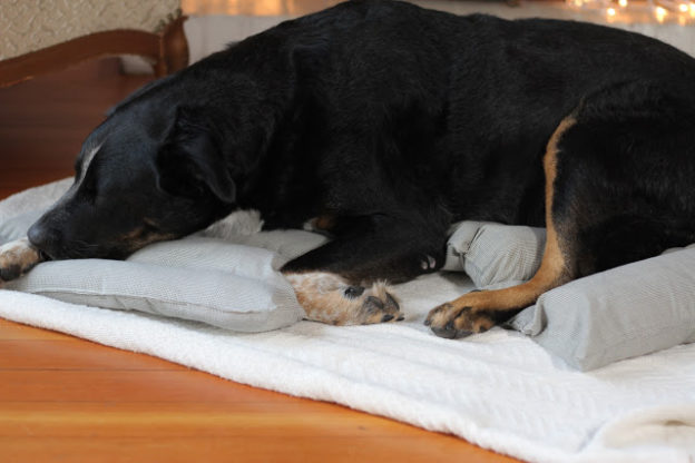 14 Free Dog Bed Patterns &amp; Tutorials
