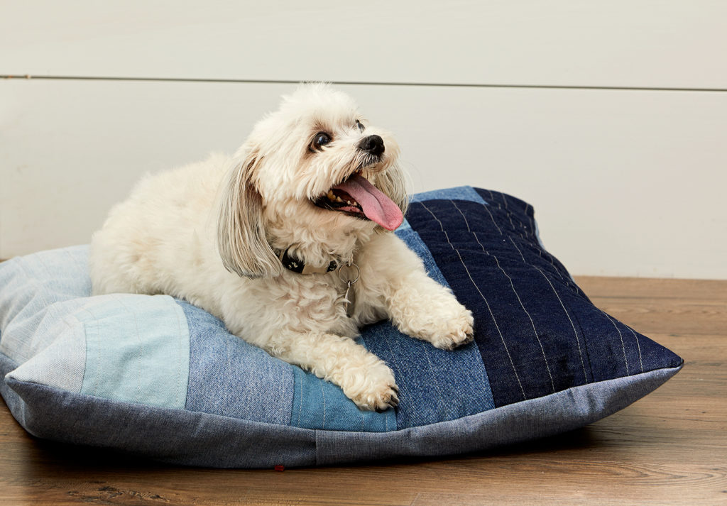 20-free-diy-dog-bed-patterns-diy-pet-bed-dog-beds-for-small-dogs-cute-dog-beds