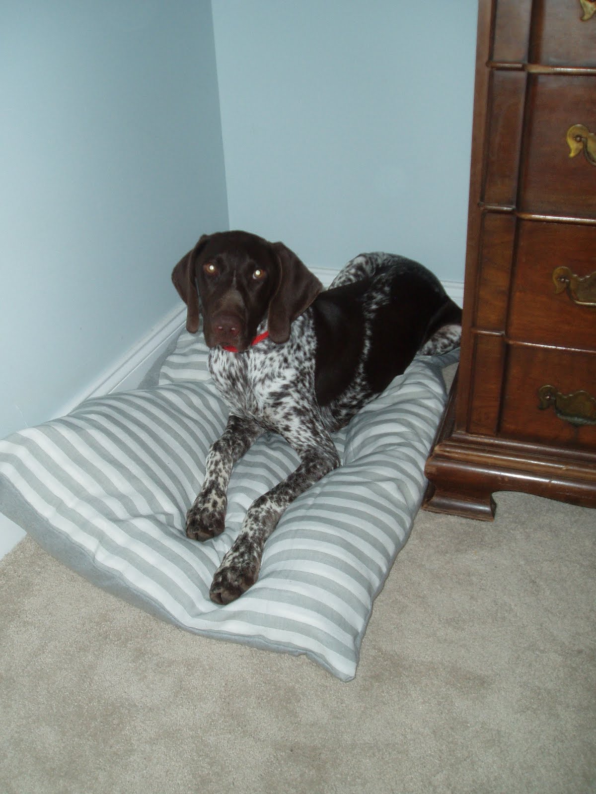 Simple Pillowcase Dog Bed