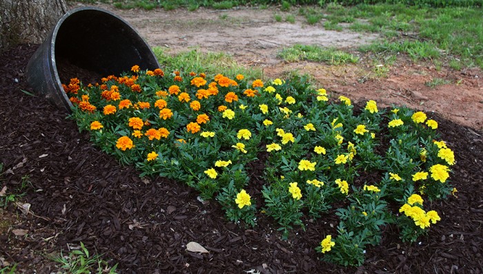 Spilled Flower Pot