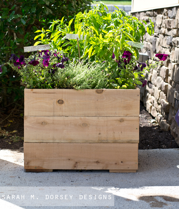 cedar planter